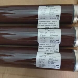 Cầu chì ống trung thế 63A Schneider